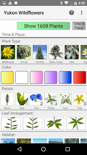 Yukon Wildflowers Screenshot 0