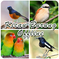 Kicau Burung Offline