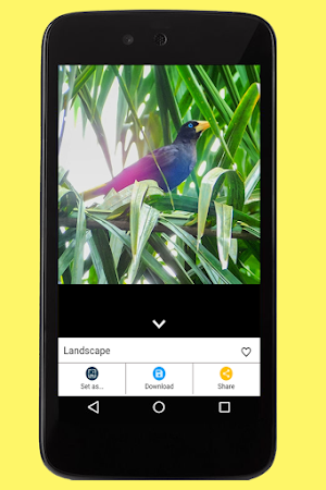 Landscape Images Screenshot 3