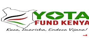 Nyota Fund Screenshot 0