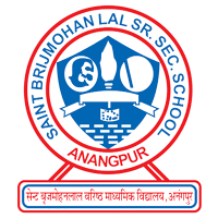 St Brijmohan lal Sr Sec School
