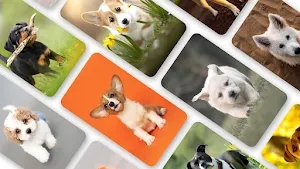 Dog Wallpaper 2023 Screenshot 0