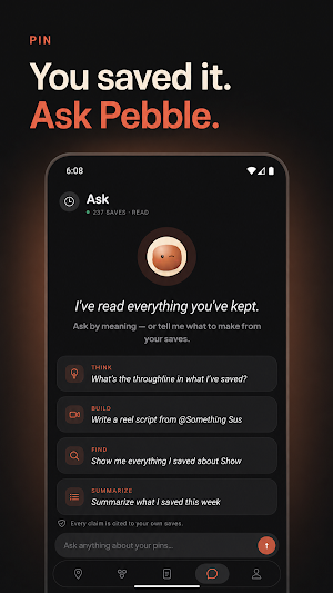 PIN: Catch and Pin Screenshot 2