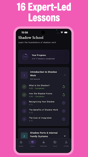 Work With Shadow - InnerParts Screenshot 1