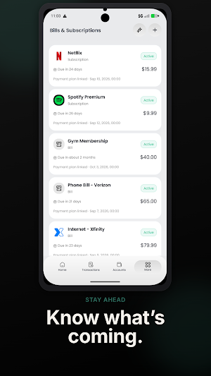 Flex Cashflow: Money Manager Screenshot 3