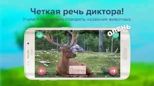 Карточки с животными учим Screenshot 1