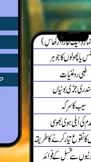 ZamScribe Screenshot 1