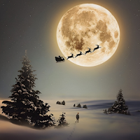 Merry Christmas 2023