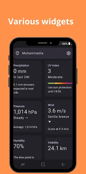 Radar Alive Weather Forecast Screenshot 1