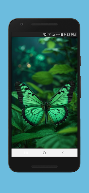Butterflies 200 HD Wallpapers Screenshot 3