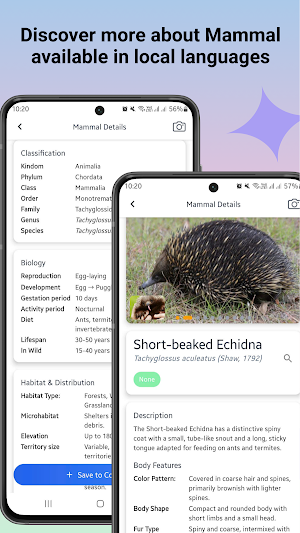 Mammal identifier Screenshot 1