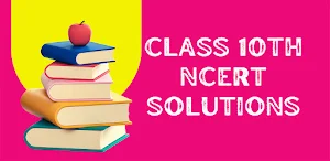 Class 10 NCERT Solutions Hindi Screenshot 0