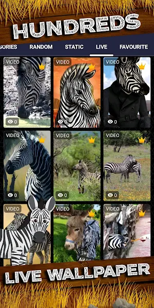 zebra wallpaper Screenshot 2