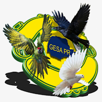 Rádio GESA Paraná