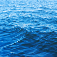 Sea Sounds
