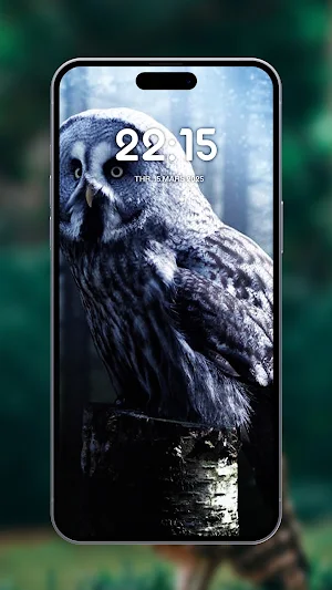Cute birds wallpapers Screenshot 1