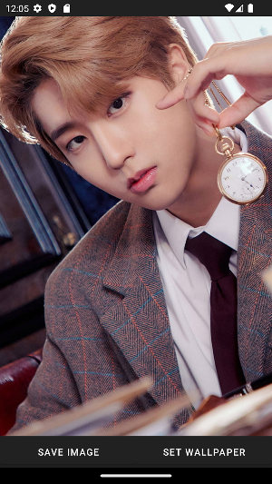 Stray Kids Han Wallpaper Screenshot 2