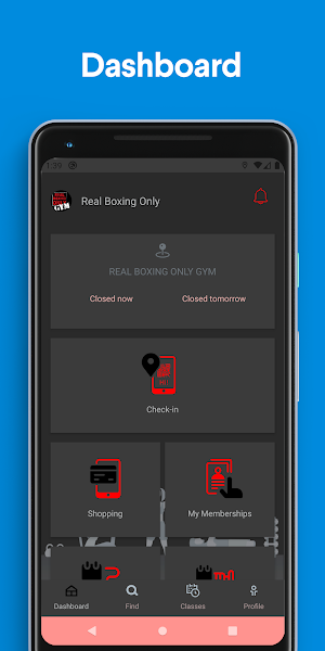 Real Boxing Only Screenshot 0