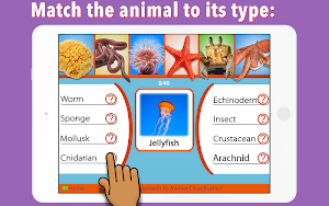 Animal Kingdom -Invertebrates  Screenshot 2