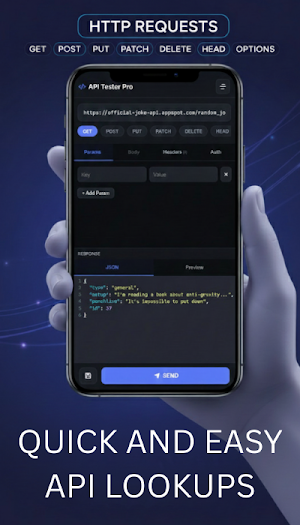 API Tester Screenshot 1