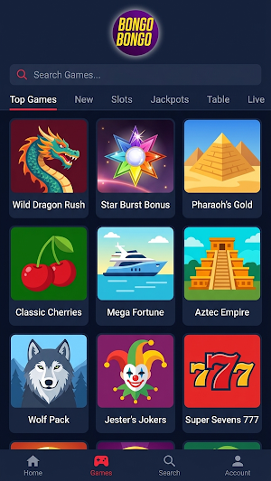BongoBongo Screenshot 3