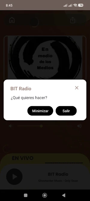 BIT Radio Screenshot 0