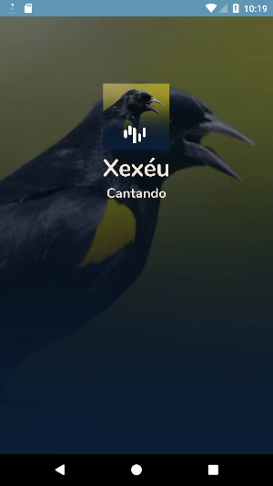 Canto Do Xexéu De Bananeira Screenshot 3