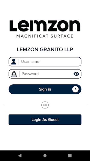 Lemzon Granito Screenshot 0