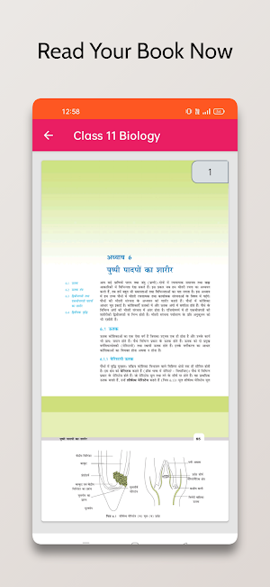 11 Biology NCERT Book in Hindi Screenshot 3