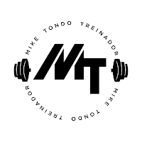 MT Hybrid