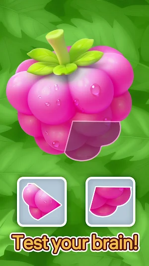 Choose Puzzle: World Screenshot 1