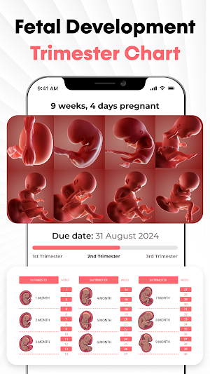 Baby Tracker Pregnancy App Screenshot 1