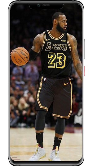 LeBron James Wallpapers Screenshot 3