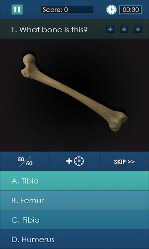 Dr. Girder's Bones Screenshot 2