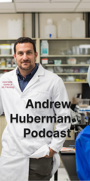 Huberman Lab App Screenshot 1