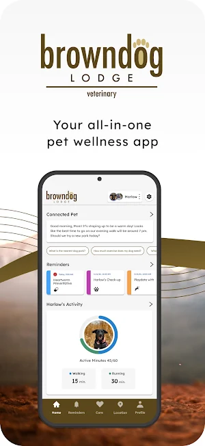 BrownDog Lodge Screenshot 0
