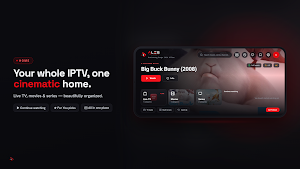 Ales Player: IPTV Player Screenshot 0
