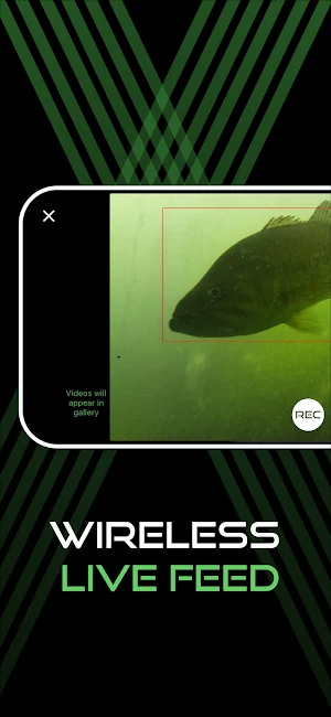 Seeweed Screenshot 3