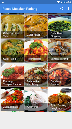 Resep Masakan Padang Screenshot 3