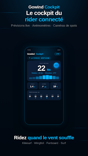 GOWIND Cockpit - Glisse & Vent Screenshot 0