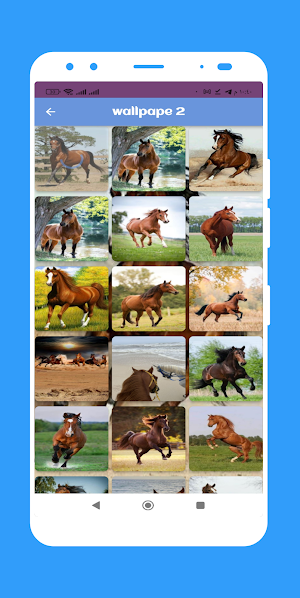 Horse wallpaper Screenshot 3