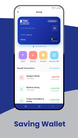 Nisir Microfinance Screenshot 3