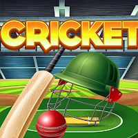 Cricket Master