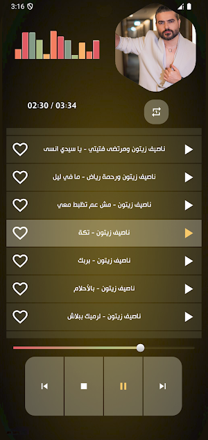 اغاني ناصف زيتون 2025 بدون نت Screenshot 3