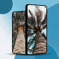 Palm Oil Tree Wallpaper