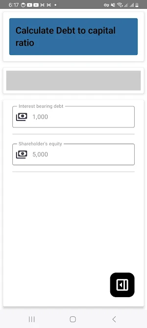 Debt To Capital Ratio Screenshot 2