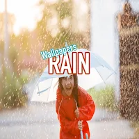 Rain Wallpapers