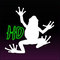 Frogs Wallpaper : Full HD