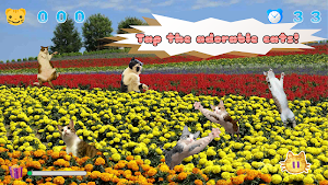 Jumping Cat - touch & tap Screenshot 0