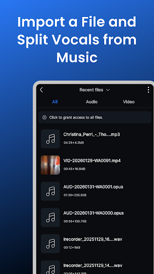 Vocal Remover AI – Split Music Screenshot 0
